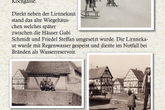 Die Lirnnekaut